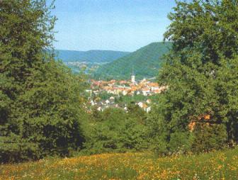 Blick vom Valentinusberg auf Lohr